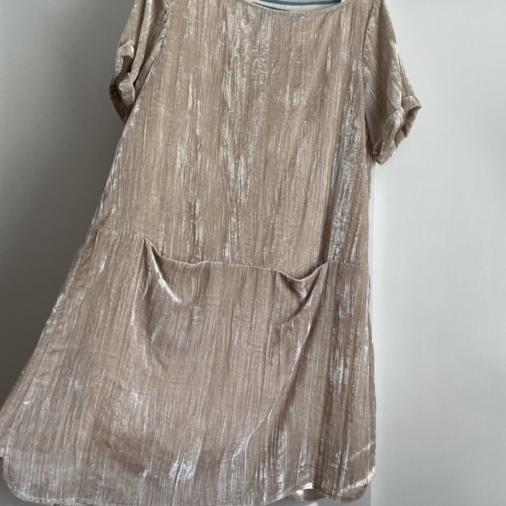 Anthropologie Floreat Champayne Crinkle Velvet Shift Tunic Dress Size M Pockets - Picture 2 of 14
